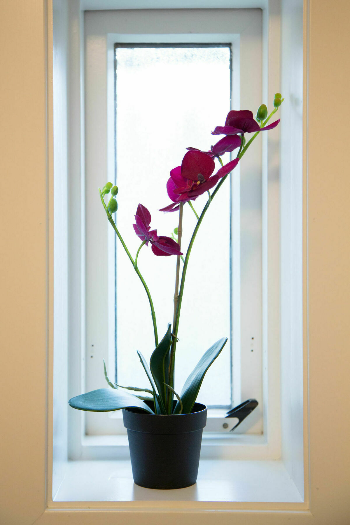Kerno Apartments Reykjavik Extérieur photo